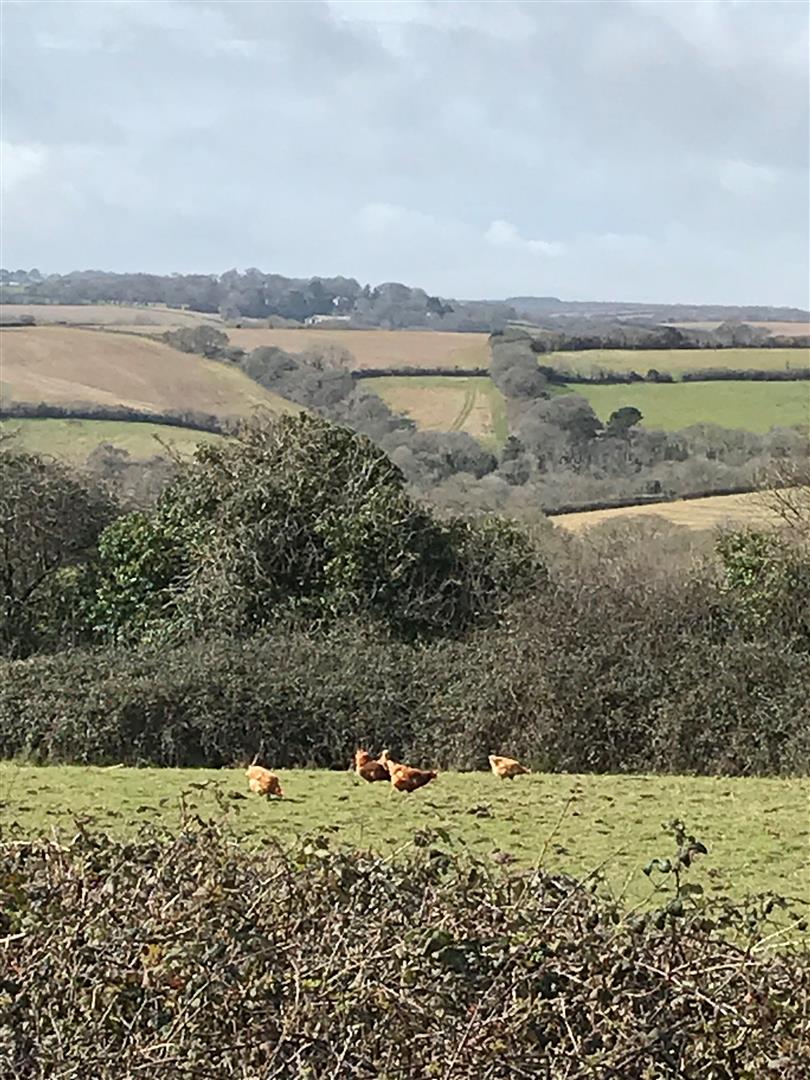 Cullen View, Probus, Truro